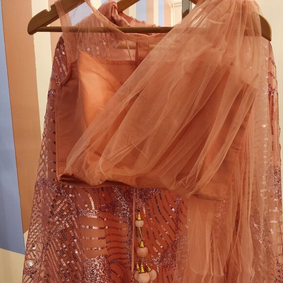 Pink and Silver Indian Lehenga Outfit Size Medium - Picture 1 of 5